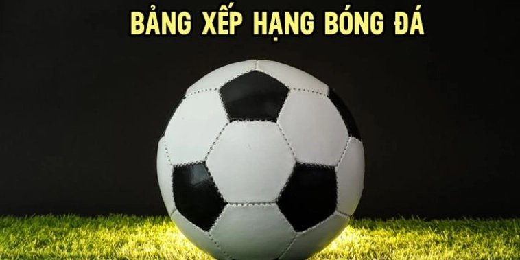 Cách Đọc Bảng Xếp Hạng Bóng Đá Để Hiểu Rõ Vị Thế Các Đội Bóng