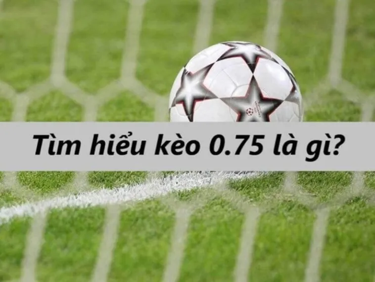 Chiến Thuật Đầu Tư Kèo Chấp 0.75 Hiệu Quả Cho Thành Viên