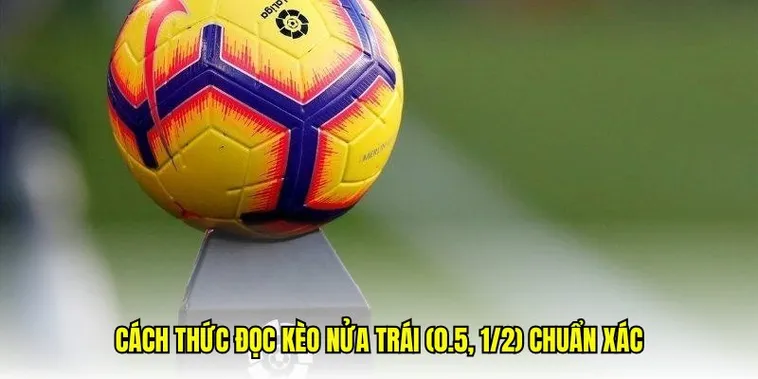 Hướng Dẫn Cách Chơi Kèo Chấp 0.5 Trong Bóng Đá Cho Người Mới