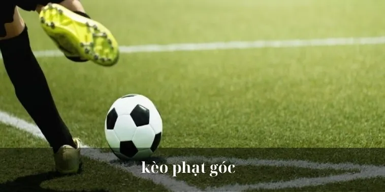 Kèo Phạt Góc Bóng Đá Bí Quyết Đọc Vị Và Chiến Thắng Nhà Cái