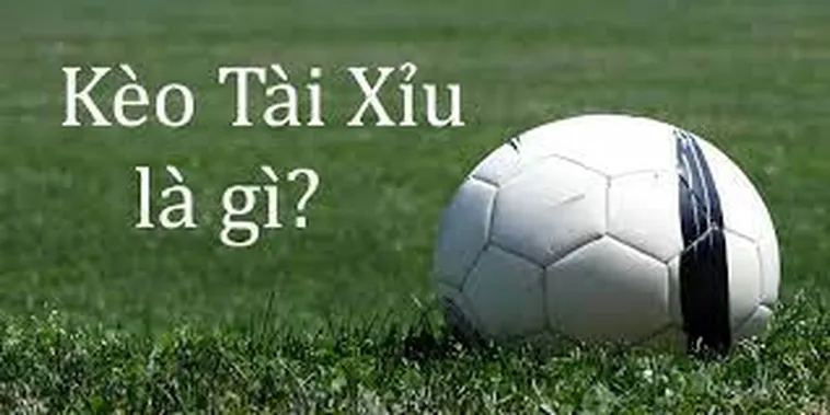 Hướng Dẫn Cách Chơi Kèo Tài Xỉu Trong Bóng Đá Cho Người Mới Bắt Đầu