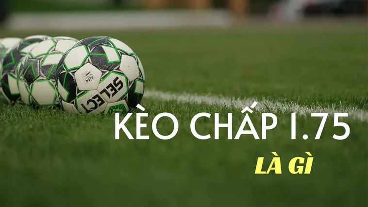 Cách Đọc Và Chơi Kèo Chấp 1.75 Trong Bóng Đá Cho Người Chuyên Nghiệp